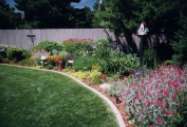 Flower Border Flower Border