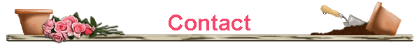 Contact