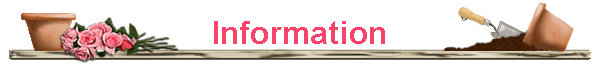 Information Information